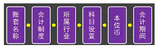 设置账套相关信息