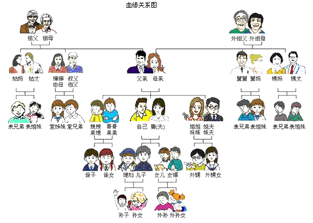 血缘关系图