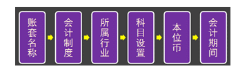设置账套相关信息