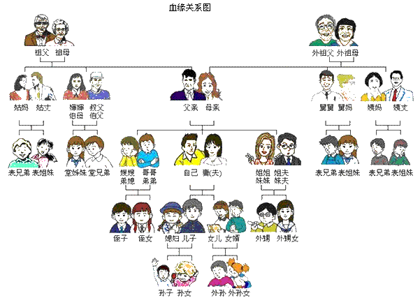 血缘关系图
