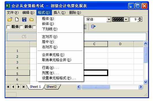报表格式设置
