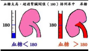 内分泌学(医学高级):糖尿病试题及答案(每日一