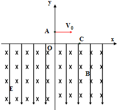 91