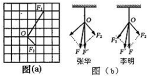 91考试网