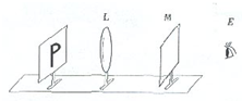 91