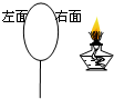 91考试网