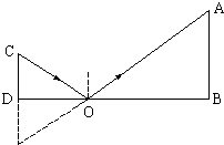 91