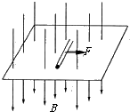 91