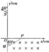 91