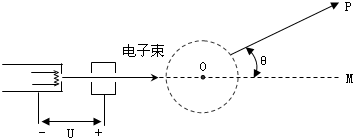 91考试网