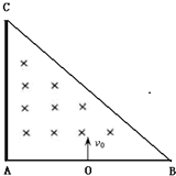 91