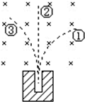 91