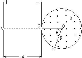 91