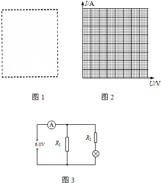 91考试网