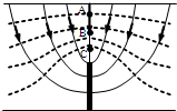 91