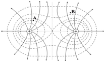 91