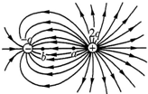 91