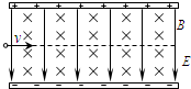91