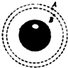 91