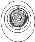 91