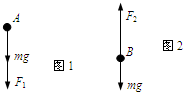 91考试网