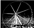 91