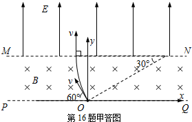 91考试网