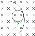 91