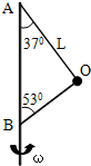 91考试网