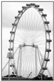 91