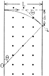 91