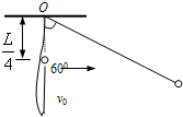91