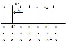 91