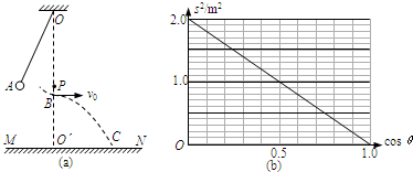 91考试网