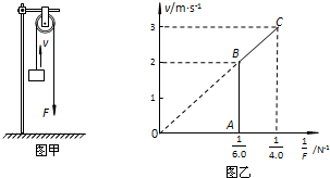 91考试网
