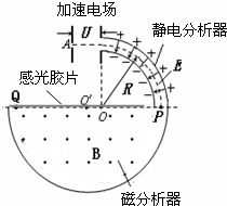 91考试网