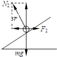 91