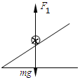 91
