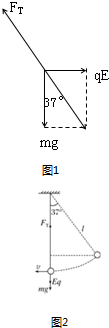 91考试网