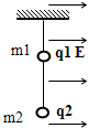 91