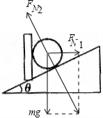 91