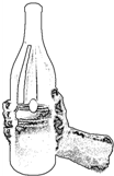 91