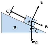 91