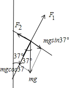 91