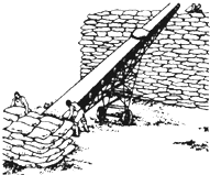 91
