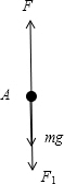 91