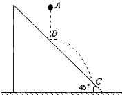 91