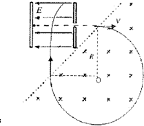 91