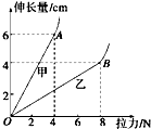 91考试网
