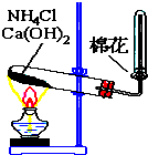 91考试网